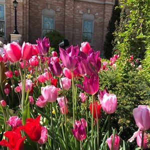 Meet your Posher, Hailey